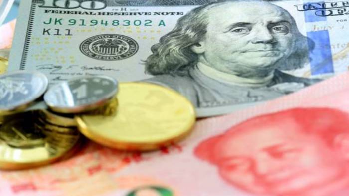 Dollar Drops to 49%, Euro Rises to 21%